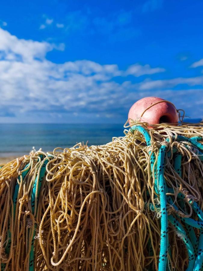 Appartamento La Coffa Agnone Cilento Eksteriør billede